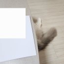 오늘은 TM 하는날 이미지