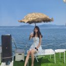 통영요트파티 이미지