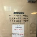 아라나라 이미지