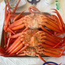 틈새라면속초점 | 속초 수율 좋은 홍게 무한리필 맛집 추천ㅣ해원 홍게 무한리필 속초본점