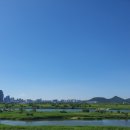 김가네김밥세종