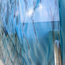 EYE MOMENT 이미지