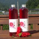 자연그대로엑기스 | 문경 오미자청 원액 엑기스 500ml 2병 세트 후기｜건강한 여름 음료로 추천하는 선물세트
