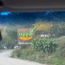 산골 | 가평 솥뚜껑 닭볶음탕 산골농원 토요일 다녀온 후기