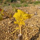 정명농장 이미지