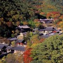 (0329) 문화해설사와 함께하는 지리산 3대사찰과 하동 10리벚꽃트래킹 이미지