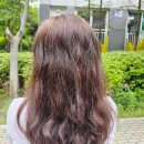 더찰리헤어 이미지