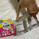 홍식이 디저트 이미지