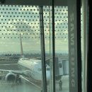 계양역 건너편 횡단보도 이미지