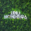 신비로숯침대 | [부천 통증완화 시에나 바디케어하우스] 아니 암을 이기고, 사혈을 멈춘다고요?