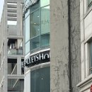 토슈즈 | 샵 예술의전당점 | 나의 두번째 토슈즈는 블락 유로피안 발란스, 레오타드 구경부터 토슈즈 피팅 후기까지