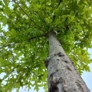 이안산부인과의원 이미지