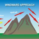 The Wild Robot 이미지