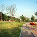 도음산 산림문화수련장 이미지