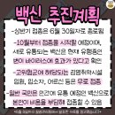 재유행중인 변종 코로나 대처방법 이미지