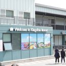 킹덤키즈-D 이미지