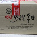 영광명품떡집 영광모시송편 ​모시송편맛집 떡선물세트후기