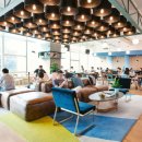 딱이야 오피스 이미지