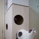 fit a pet 이미지
