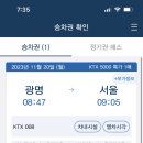 레이브피자