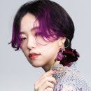 비비드라인 네이버블로그