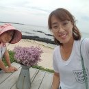 세화동백그늘 이미지