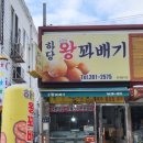 하당왕꽈배기 네이버블로그