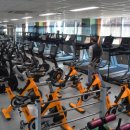 국제체력단련장 이미지