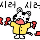 클린보이이마트 이미지