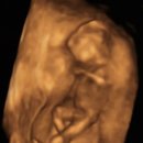 (주)버티고우게임즈 | 임신 12-16주차_태교없는 태교여행, 집들이, 임신후 첫 감정기복