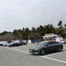1004 | 신안군 여행 1004섬 분재정원 후기