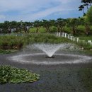 안성맞춤랜드 이미지