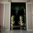 비즈호스텔 | 그랜드모먼트 엘라홀 대관 본식 후기(행복했던 나의 결혼식💍)