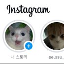 서초중앙로 63-8 이미지