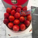 조은짬뽕 본점 이미지