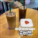 경북도서관 앞 | 포항 북구 포은도서관 주변 분위기 좋은 카페 / ‘슈에뜨’ 내돈내산후기