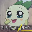 폴치커피