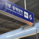 꼬꼬슈퍼 | 0.5일같은 1일차 봄에 다시간 뚜벅이 2박 3일 강릉여행 인트로