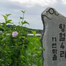 박이현·박영서 정려 이미지