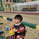 창말체육관 이미지