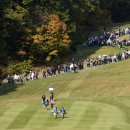 대박갤러리 이미지