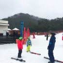 탐스스쿨 탐스스키 스키강습최고