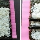 김밥봄