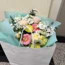 사하라블라썸
