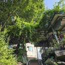 정자나무집모텔 이미지