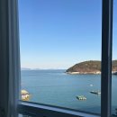 돌산읍하얀연꽃요양원 | 애견동반 가능한 여수 느낌애견풀빌라 후기 (완전 추천!)