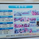 푸른바다 어촌마을 네이버블로그