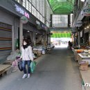 미나리광 이미지