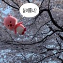 몰리짐 이미지
