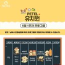 미래유치원 | Mission #835 호치민 애견유치원 후기 – The Petel, 개팔자 천국의 모든 것